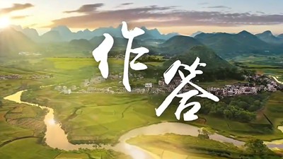 纪录片《作答》