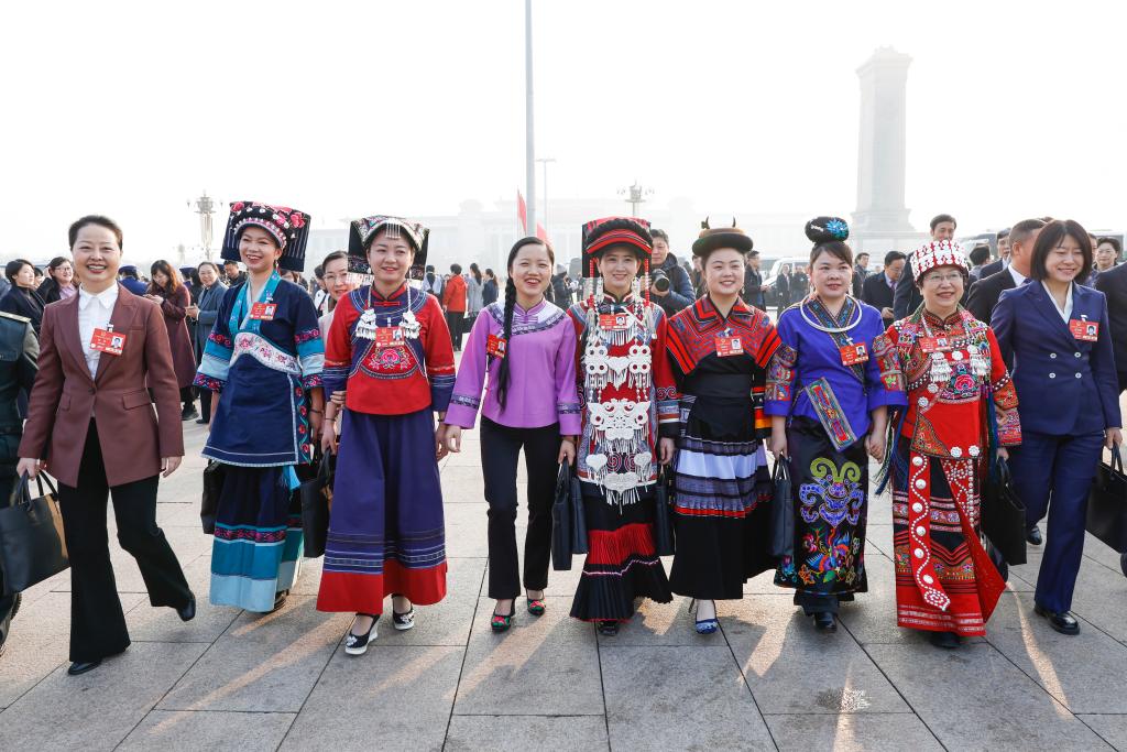 十四届全国人大三次会议第二次全体会议