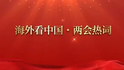 扩大高水平对外开放