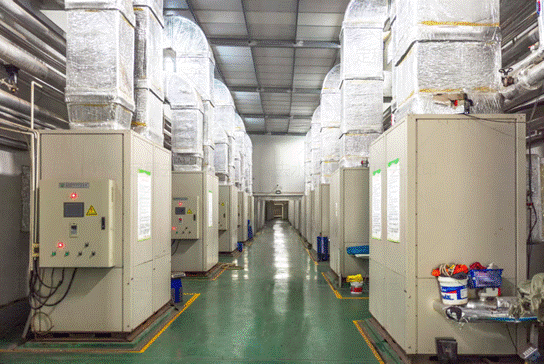 State Grid Taizhou Power Supply Company: Electricity Empowering Agricultural Innovation, Smart Mushroom Houses Driving Green Transformation