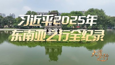 习近平2025年东南亚之行全纪录