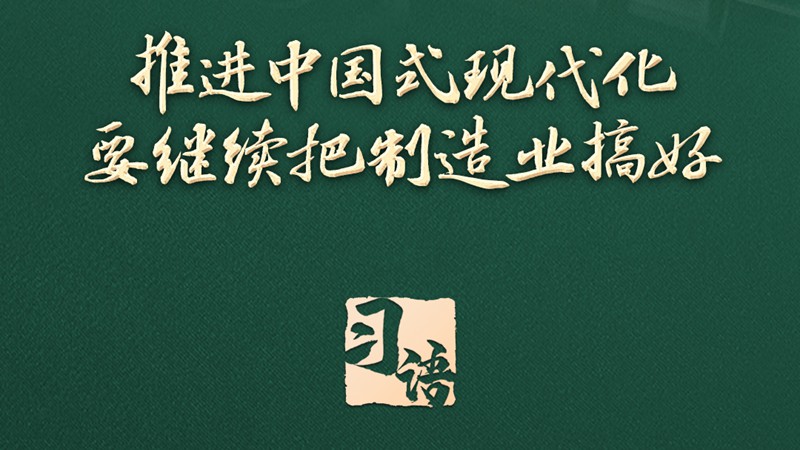 习语丨总书记为什么说“这条路走对了”？