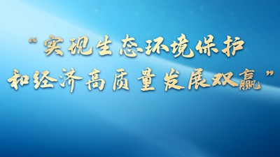 实现生态环保和经济高质量发展双赢