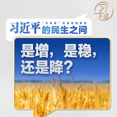 习近平的民生之问｜“是增，是稳，还是降？”