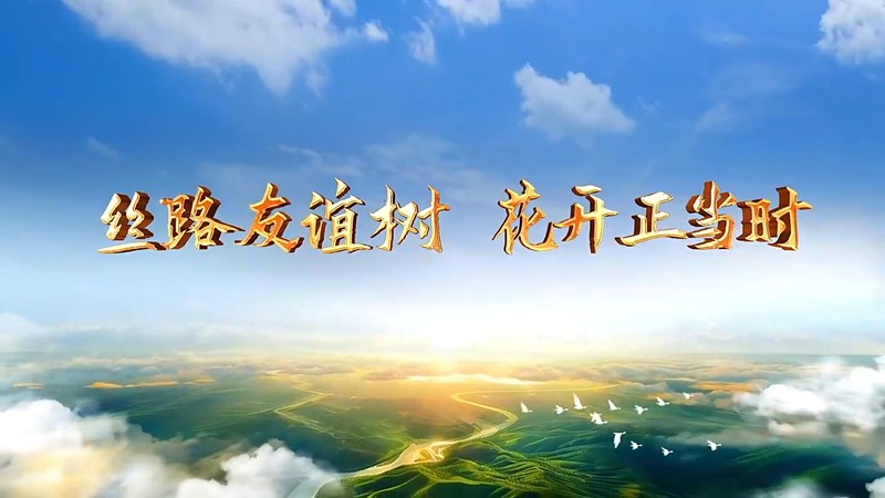 大道之行丨丝路友谊树 花开正当时