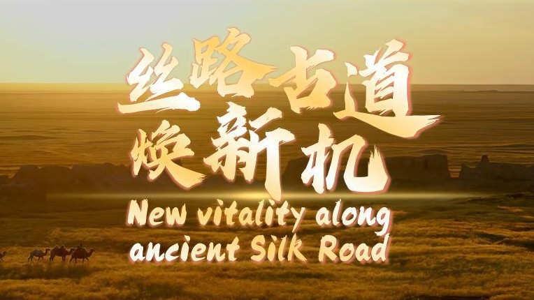 丝路古道焕新机