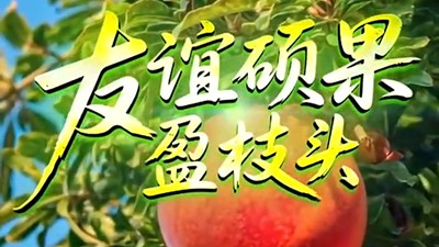 友谊硕果盈枝头