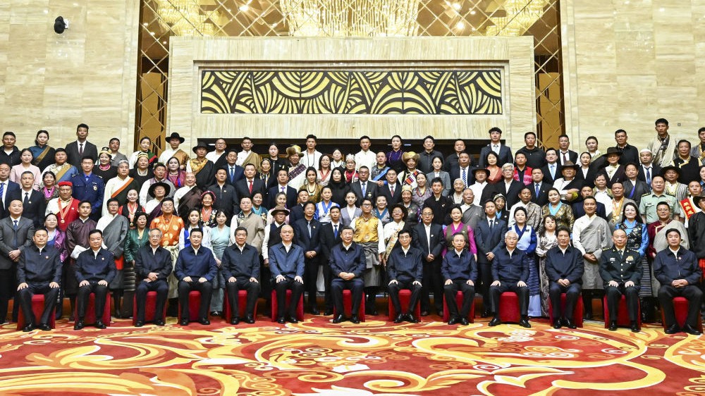 图集｜习近平接见西藏各族各界代表