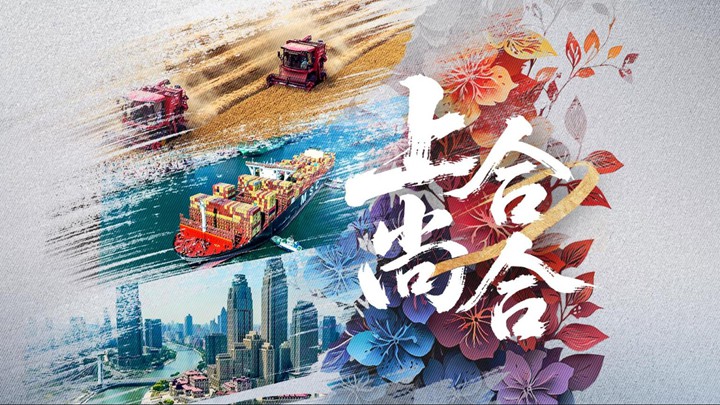 纪录片｜上合，尚合