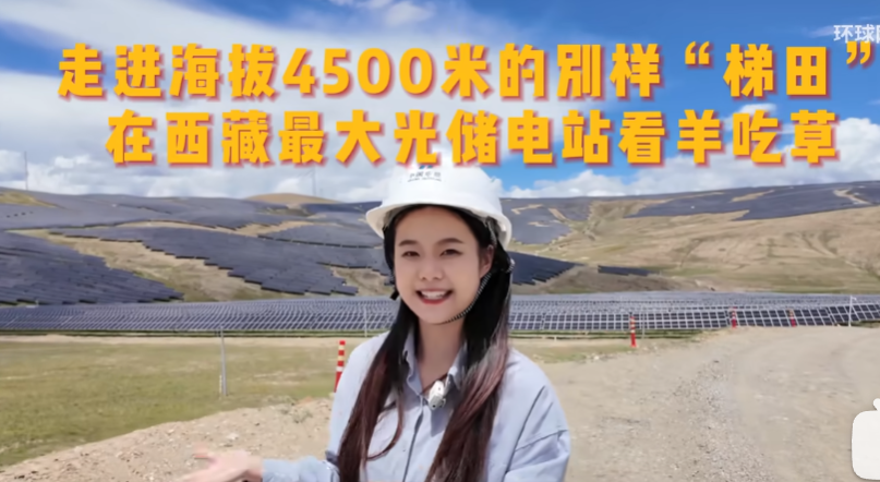 走进海拔4500米的别样“梯田”，在西藏最大光储电站看羊吃草