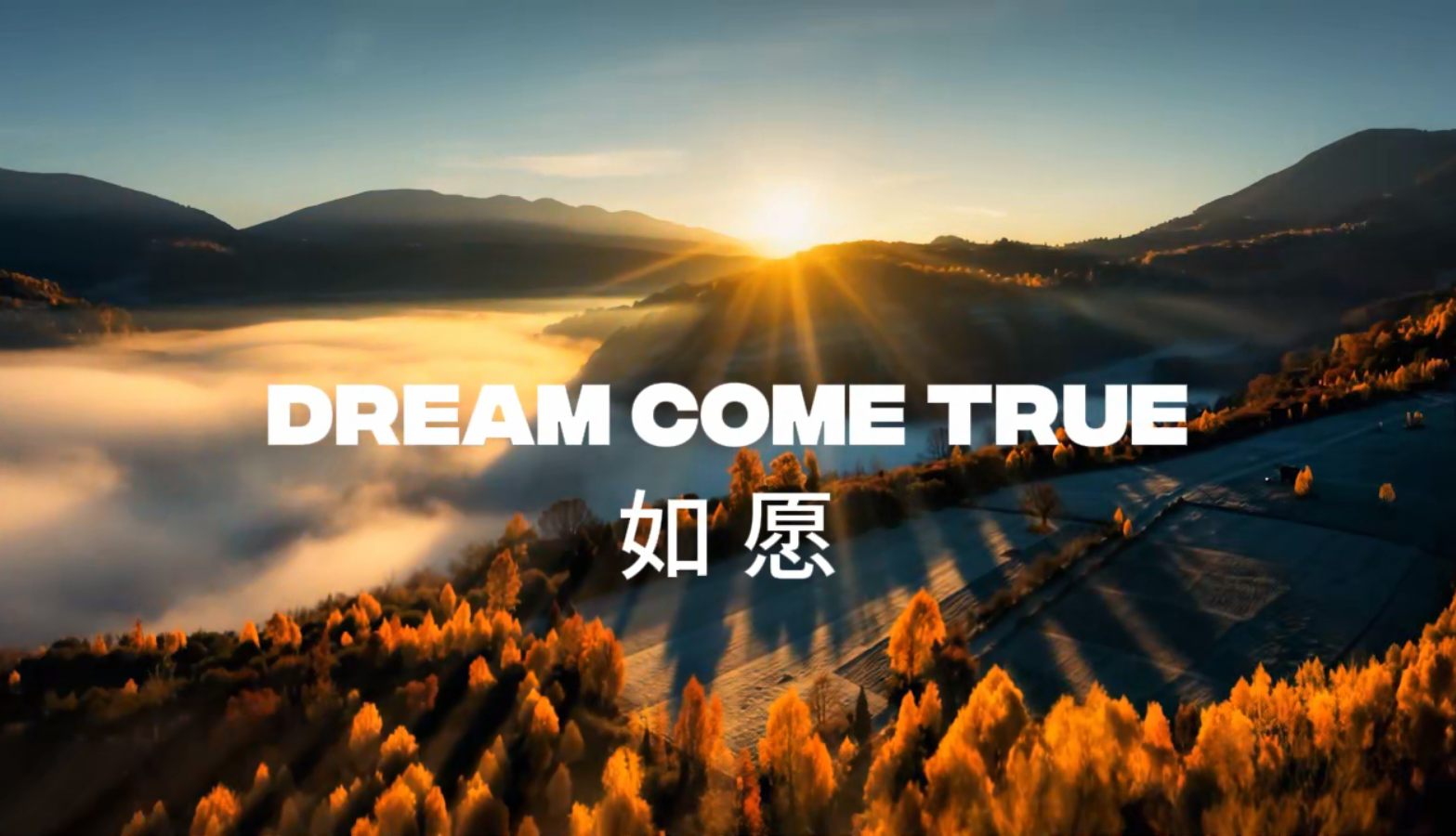《如愿》