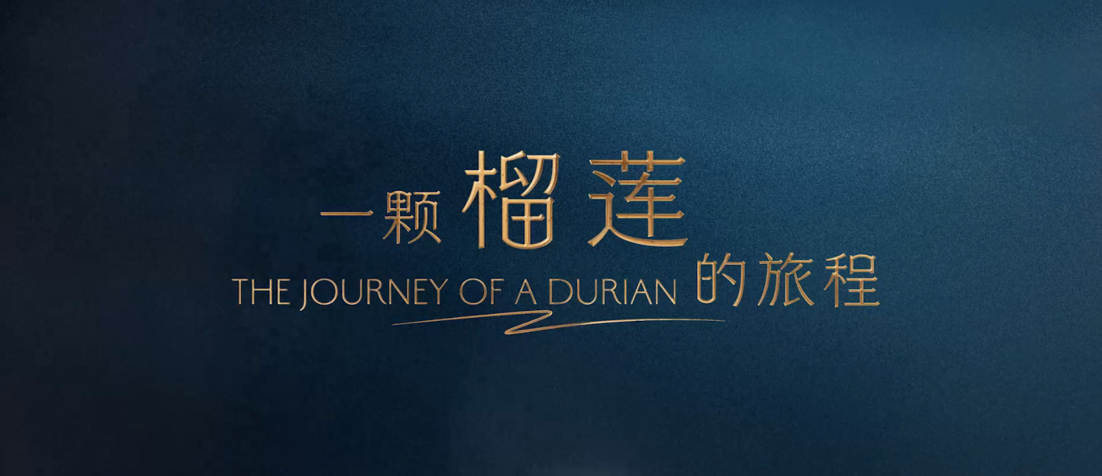 《一颗榴莲的旅程》