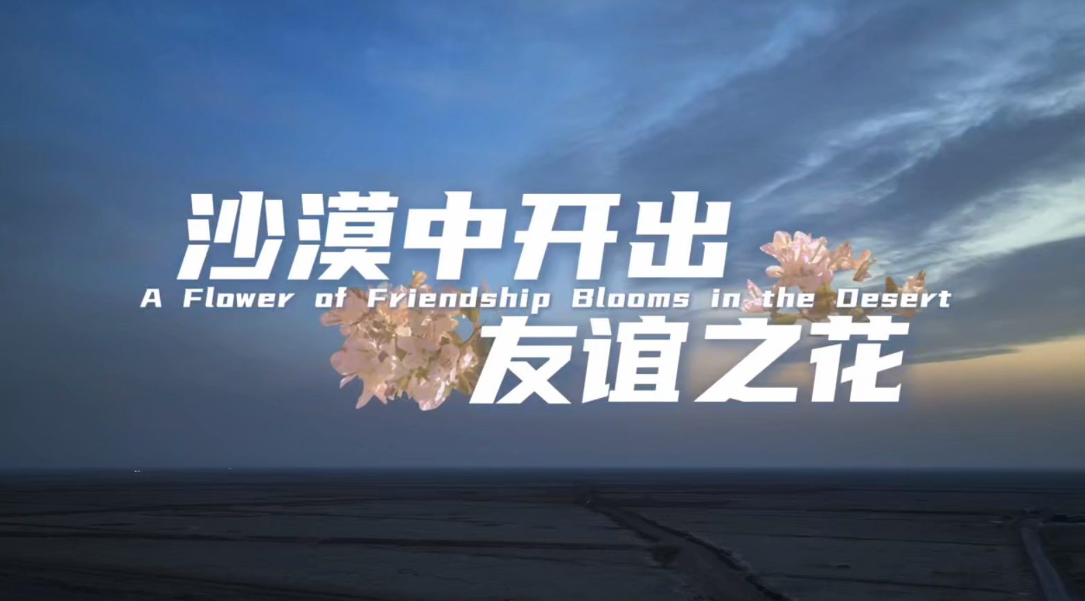 《沙漠开出友谊之花》