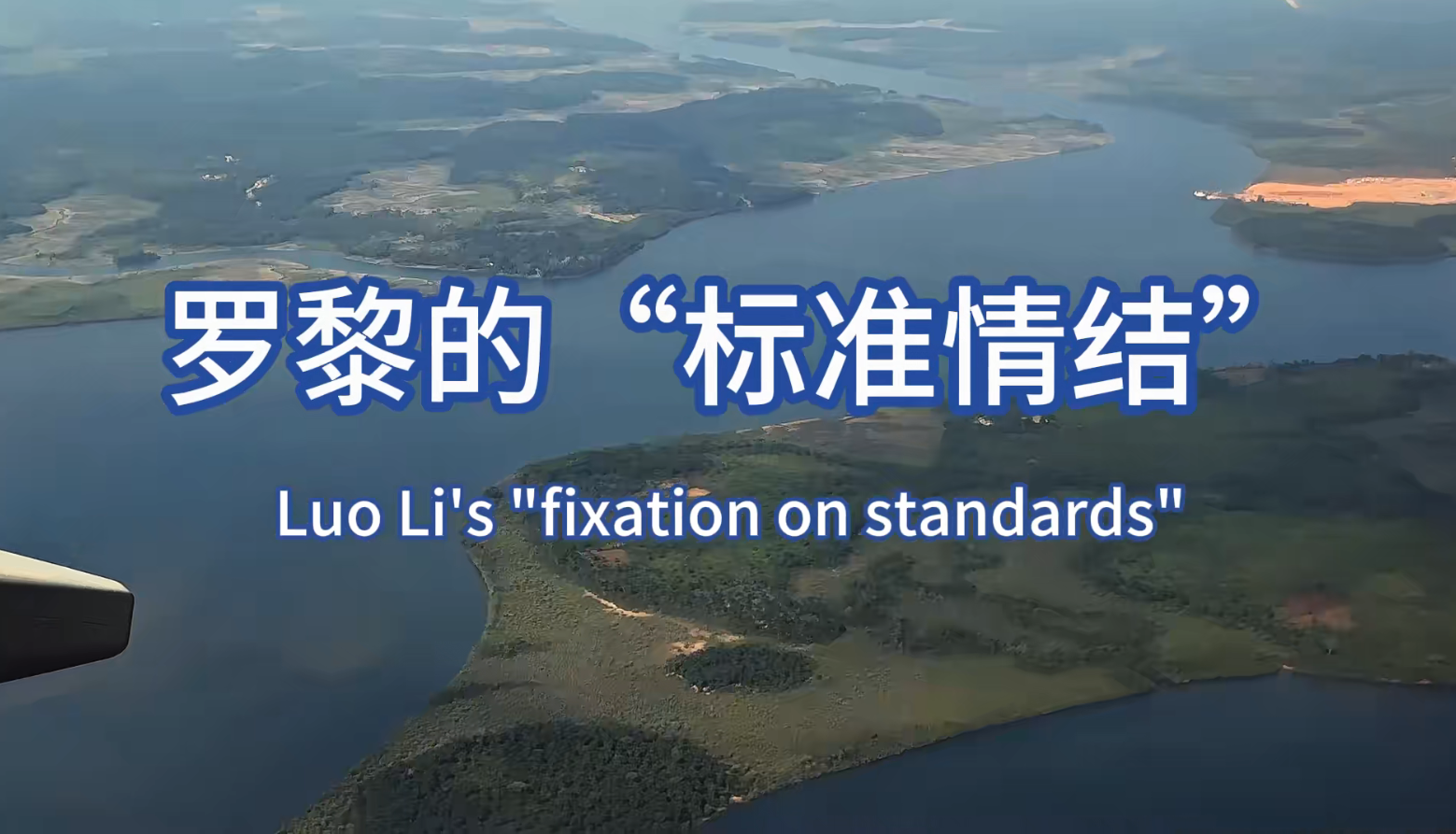 《罗黎的“标准情结”》