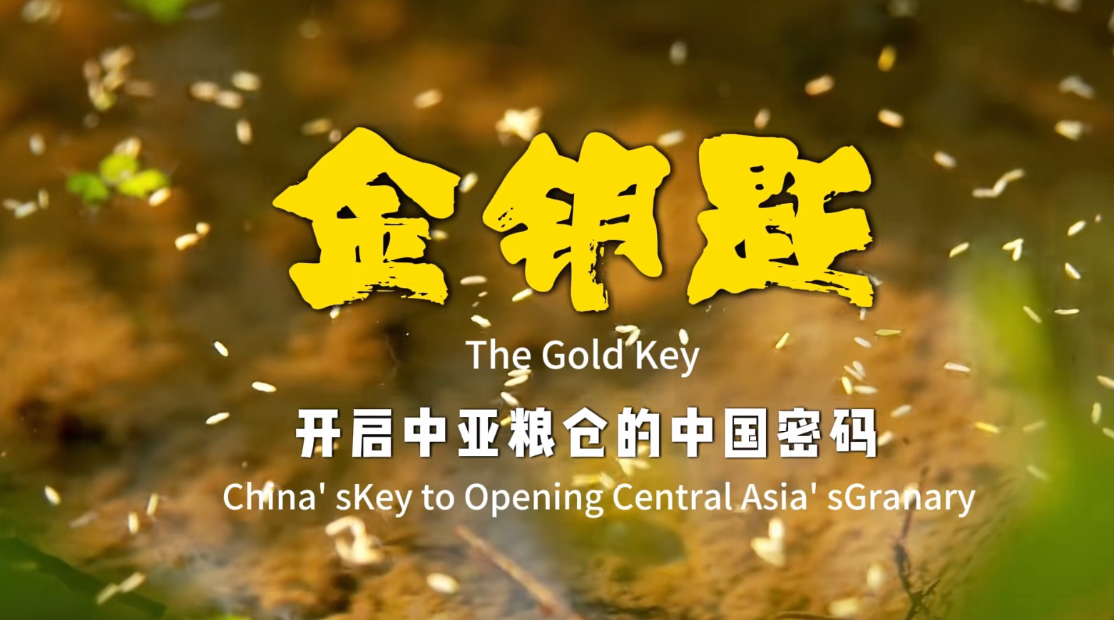 《金钥匙》