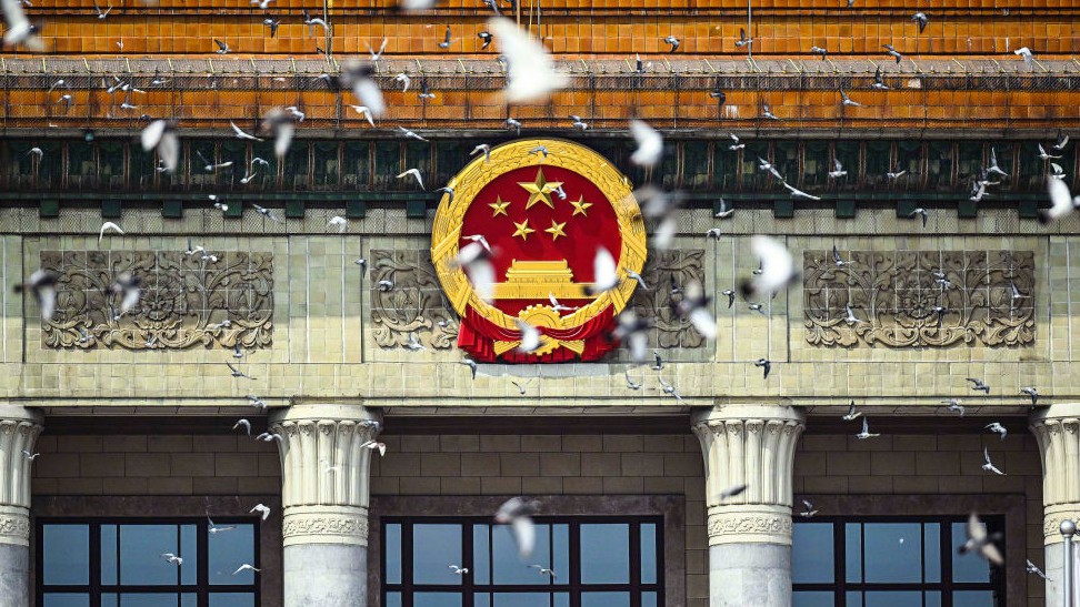 和平鸽展翅高飞