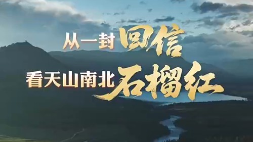 从一封回信，看天山南北石榴红