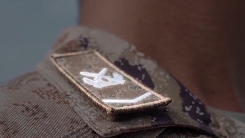 新型后备力量亮相！8大军兵种首次汇聚