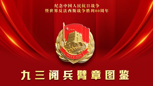 请收藏！九三阅兵臂章图鉴