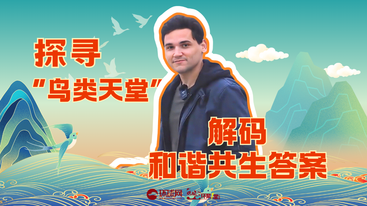 巴西留学生白凯龙：在“鸟类天堂”解码人与自然和谐共生的答案