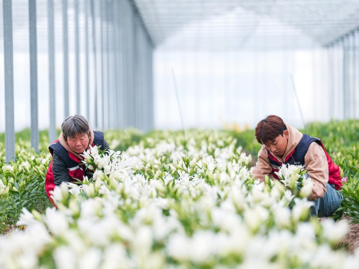 浙江金华：“美丽经济”赋能乡村振兴