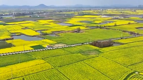 推动农业农村现代化再上新台阶