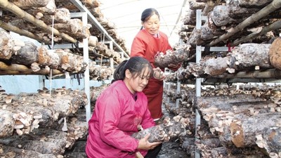 河南西峡：乡村振兴奏响民富县强新乐章