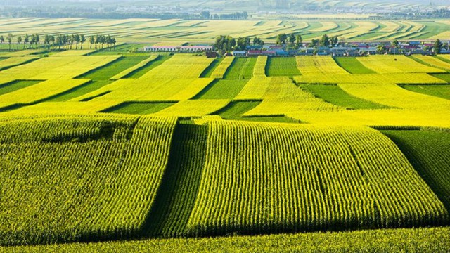 立春启新程 臻品赴京约 黑龙江桦川定制农业推介会即将启幕