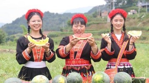 广东七星村：西瓜“甜透”致富路