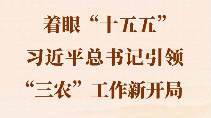 着眼“十五五”，习近平总书记引领“三农”工作新开局