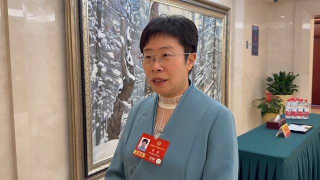 全国政协委员蒙曼谈