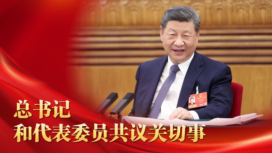 微视频丨总书记和代表委员共议关切事