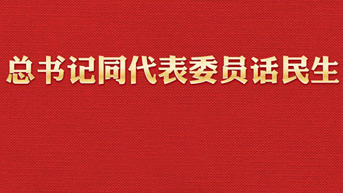 两会近镜头｜总书记同代表委员话民生