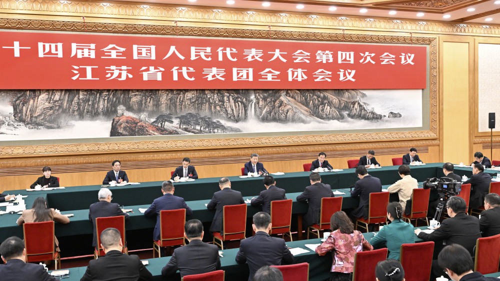 一见·代表委员通道，总书记为何持续关注