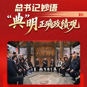 看图学习丨总书记妙语“典”明正确政绩观