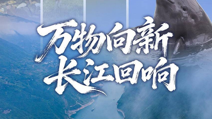 万物向新，长江回响