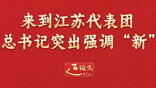 来到江苏代表团，总书记突出强调“新”