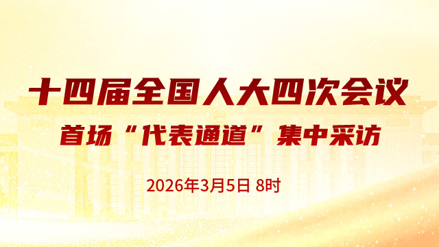 首场“代表通道”集中采访