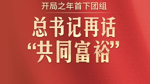 今年首下团组，总书记再话“共同富裕”