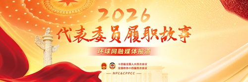 代表委员履职故事
