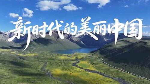 以法典之名！守护你我的美丽中国