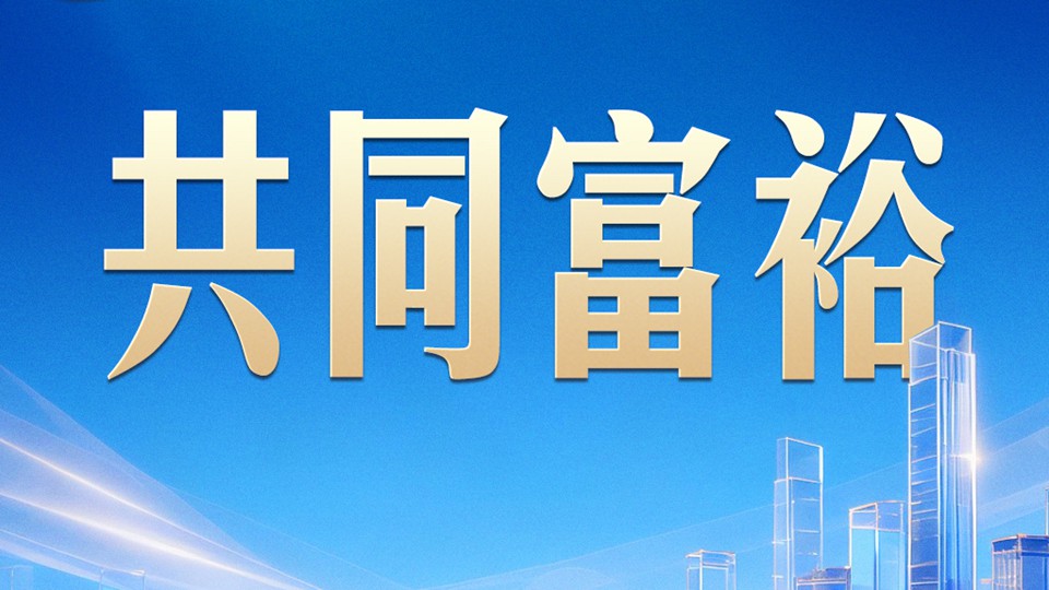 习言道丨四到江苏团，习近平都提到共同富裕