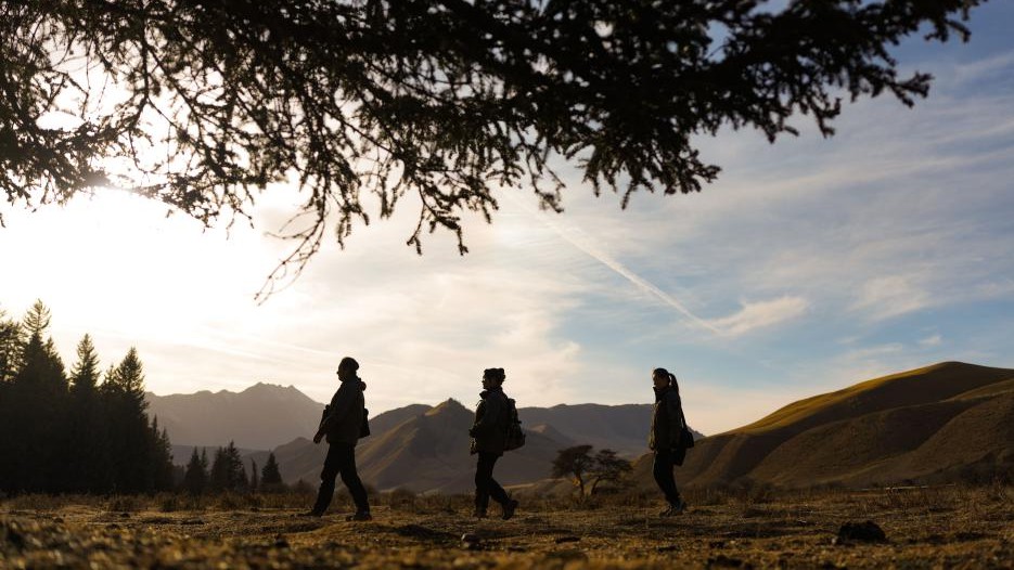 巾帼力量守护祁连山