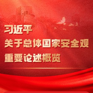 长图丨习近平关于总体国家安全观重要论述概览