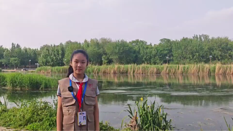 从臭水河到天鹅湖 作者：李静醍