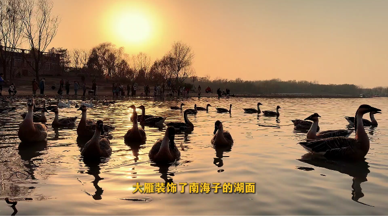 我在南海子写了一首诗 作者：李怀瑾