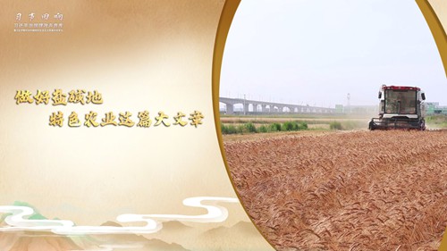 做好盐碱地特色农业这篇大文章