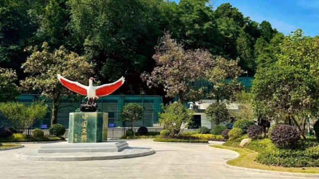 朱鹮翩翩舞天汉，满目青山满目新