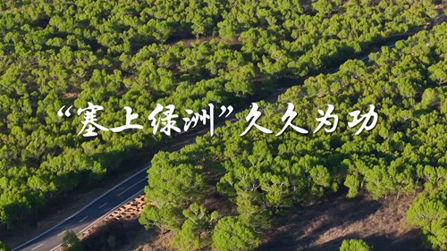 学习·故事丨“塞上绿洲”久久为功