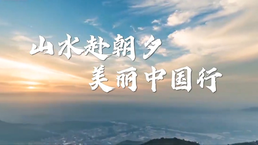 1200、1426、1900……这些国宝动物队伍又壮大了！